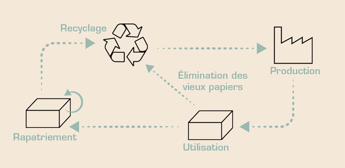 Le cycle